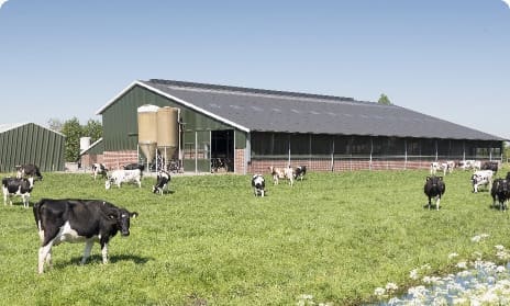 reflective-bubble-insulation-argricultural farm building suitable for reflective insulation